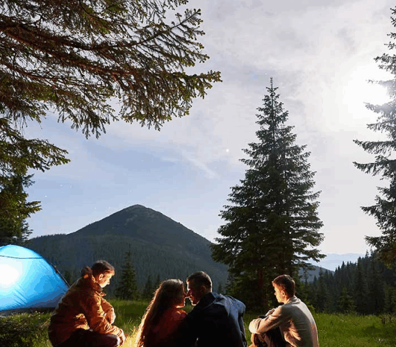 Local Culture in the Blooming Summer Landscape